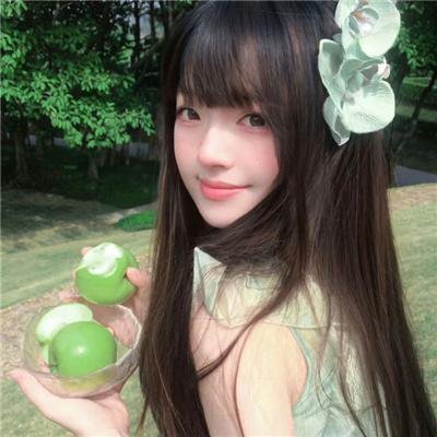 莫丽的朝圣