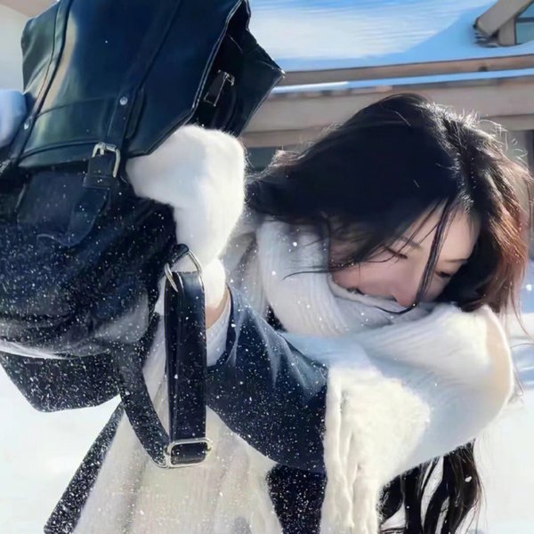 休了太子狼帅为我倾覆天下